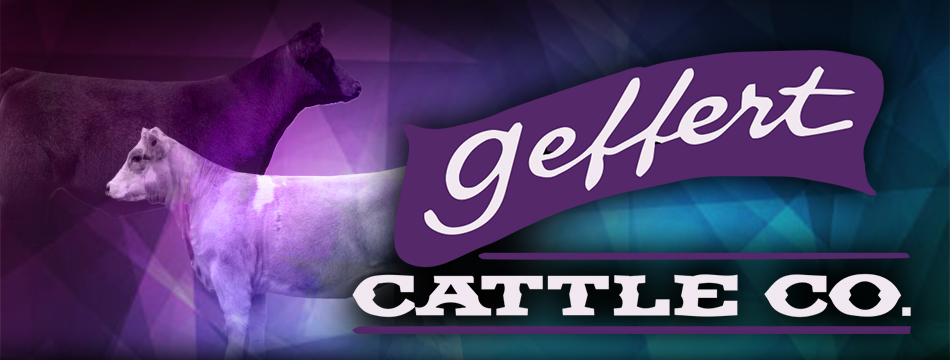 Geffert Cattle Company