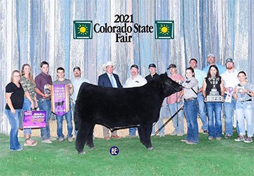 Geffert Cattle Co Winners