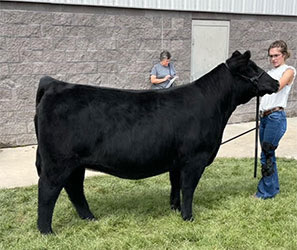 Geffert Cattle Co Winners