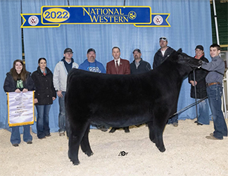 Geffert Cattle Co Winners