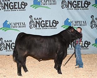 Geffert Cattle Co Winners