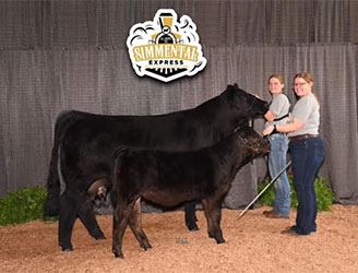 Geffert Cattle Co Winners