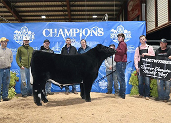 Geffert Cattle Co Winners