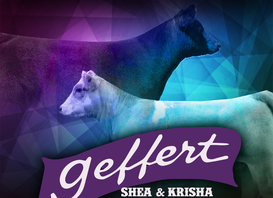 Geffert Cattle Company